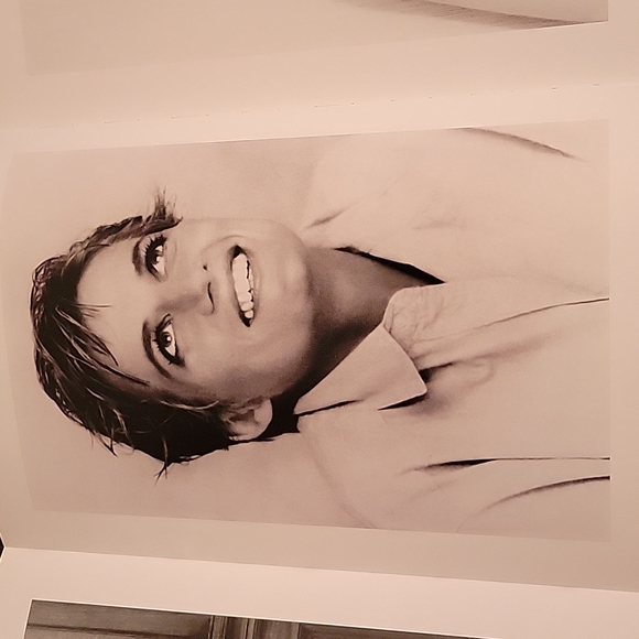 Hardcover large "DIANA The Portrait" Foreword Nelson Mandela by Rosalind Coward - Picture 10 of 12